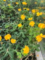 WhatsApp Image 2025-12-03 at 15-26-50 (2).jpeg